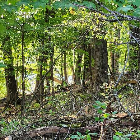 0.75 Acres of Land for Sale in Bethel, Minnesota