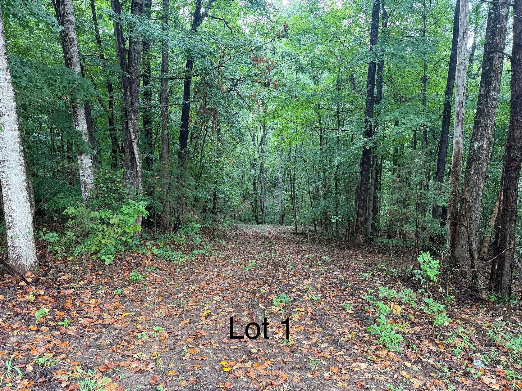 1.3 Acres of Residential Land for Sale in Monticello, Kentucky