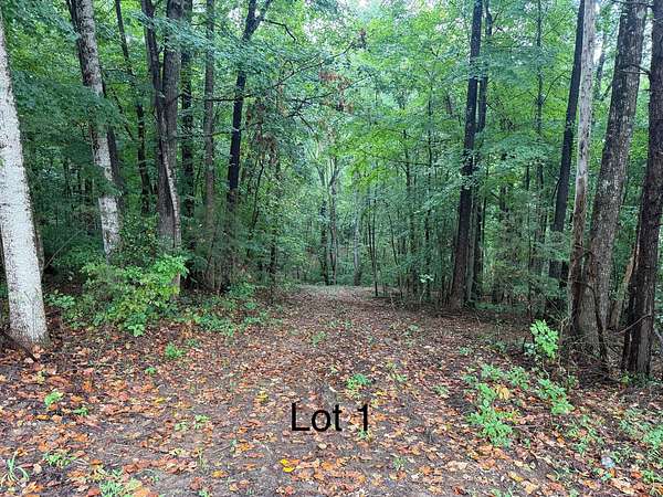 1.3 Acres of Residential Land for Sale in Monticello, Kentucky