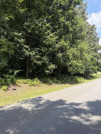 1 Acre of Residential Land for Sale in Ringgold, Georgia