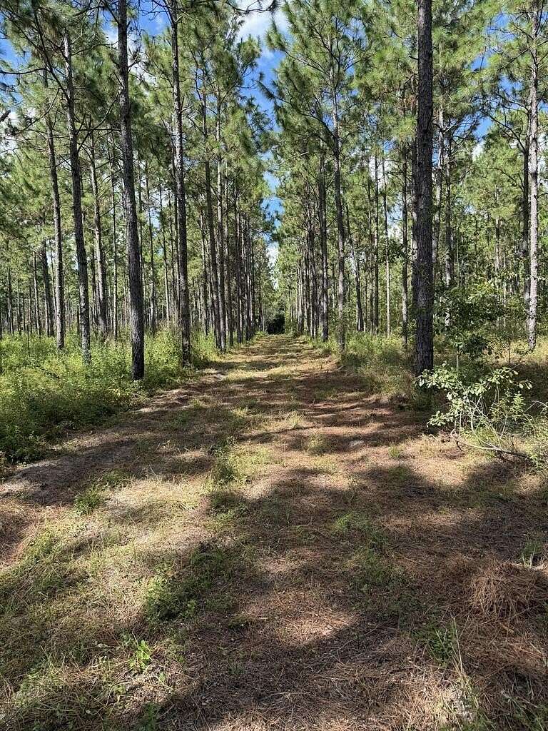 26.2 Acres of Recreational & Residential Land for Sale in Camilla, Georgia