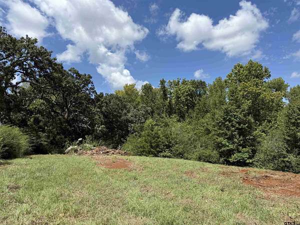 27.6 Acres of Recreational Land for Sale in Jacksonville, Texas
