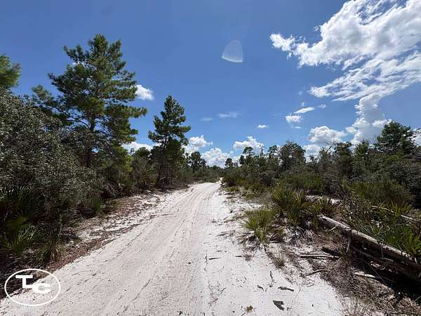 1 Acre of Residential Land for Sale in Sebring, Florida