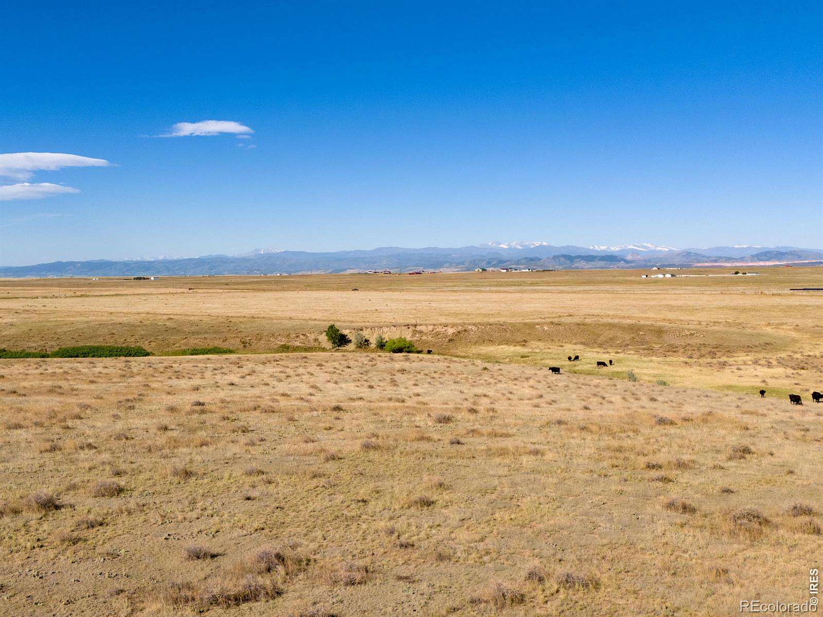 75 Acres of Agricultural Land for Sale in Wellington, Colorado