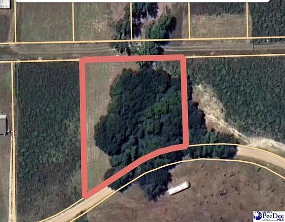 0.77 Acres of Residential Land for Sale in Hamer, South Carolina