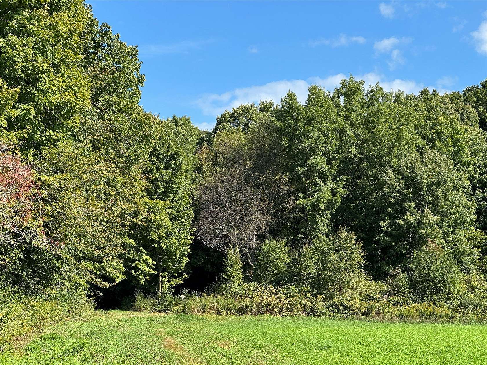 41 Acres of Recreational Land for Sale in Merrill, Wisconsin
