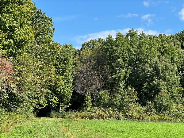 41 Acres of Recreational Land for Sale in Merrill, Wisconsin