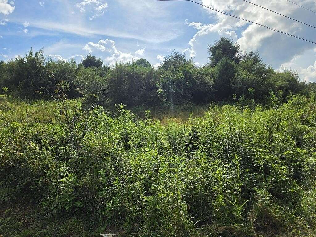 0.75 Acres of Residential Land for Sale in Galax, Virginia