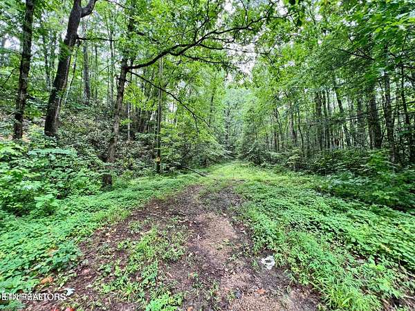 0.42 Acres of Residential Land for Sale in Sevierville, Tennessee