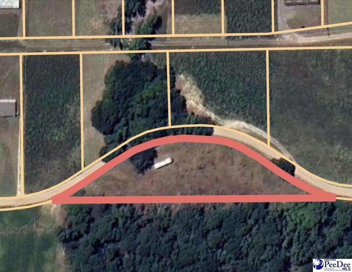 0.99 Acres of Residential Land for Sale in Hamer, South Carolina