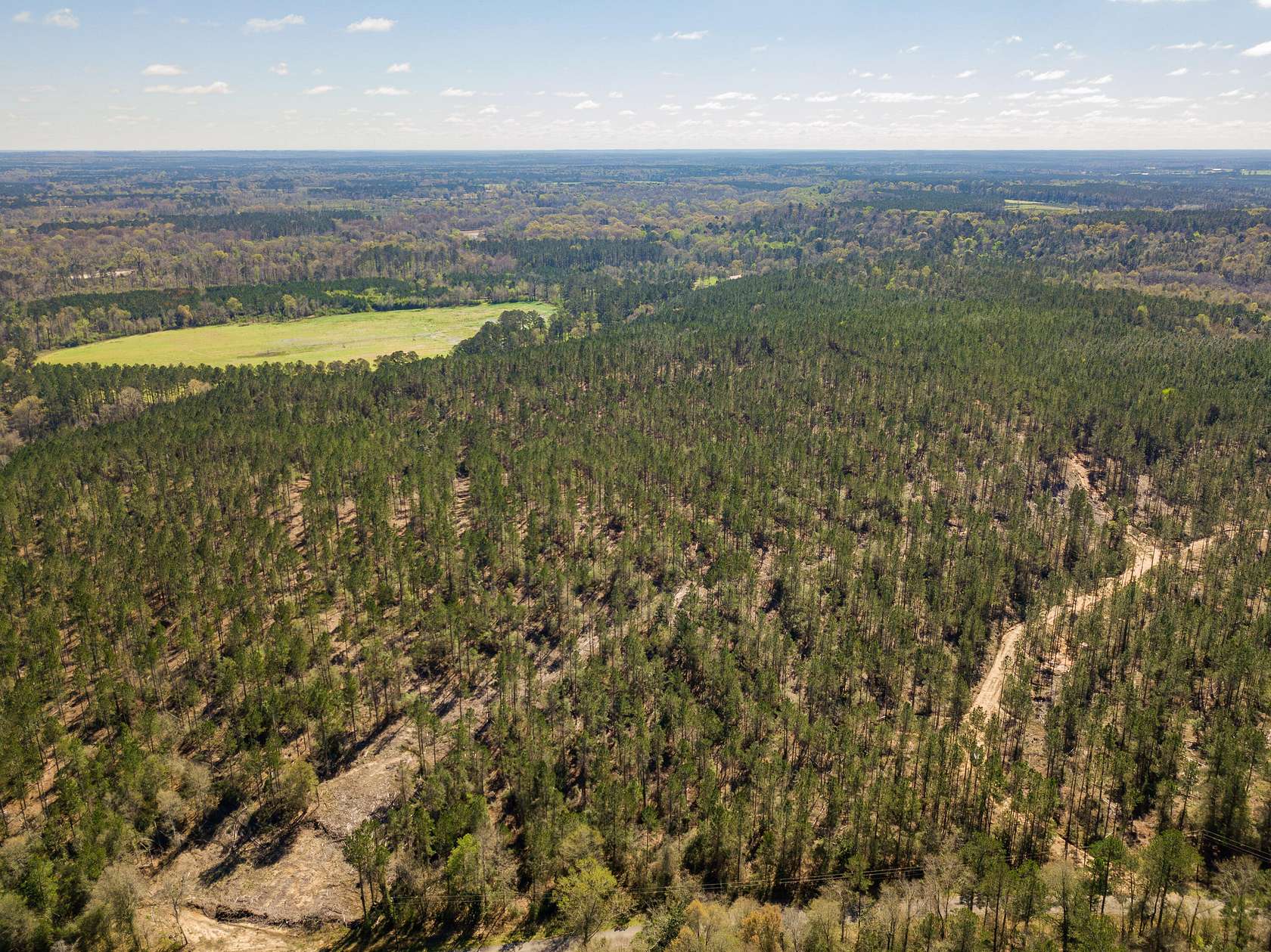 9.58 Acres of Residential Land for Sale in Ellisville, Mississippi