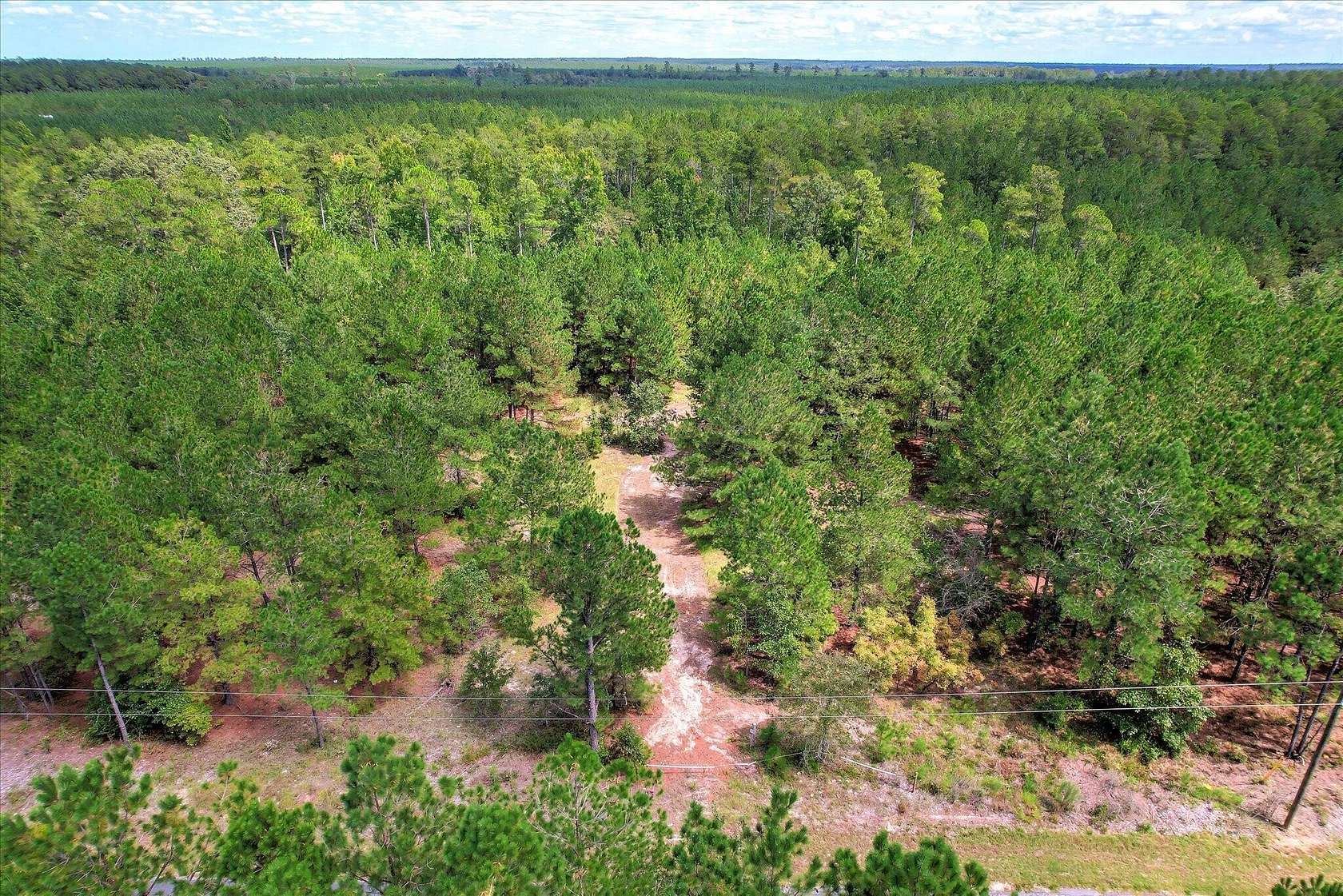 64.7 Acres of Recreational & Residential Land for Sale in Windsor, South Carolina