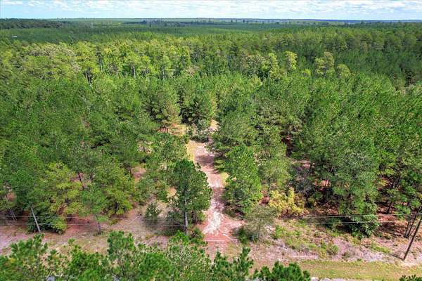 64.7 Acres of Recreational & Residential Land for Sale in Windsor, South Carolina