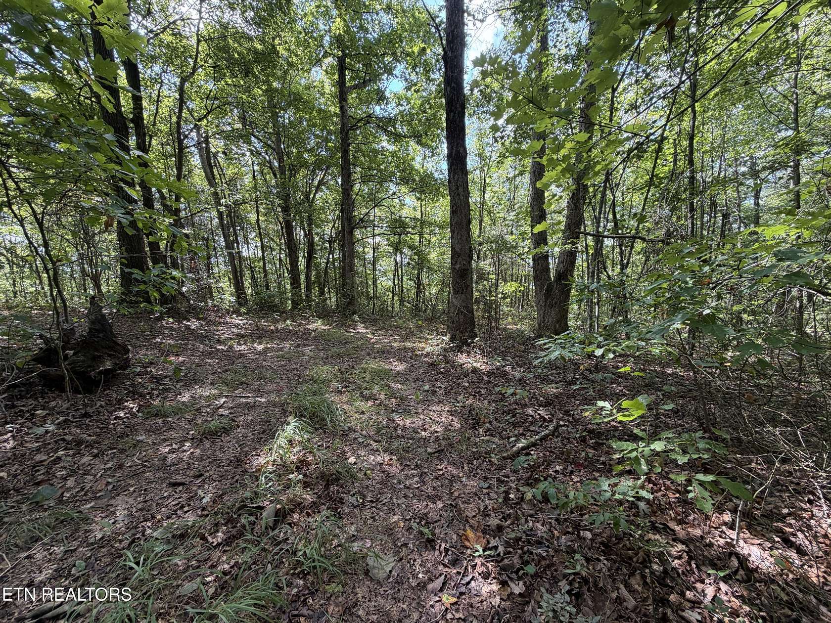 3.6 Acres of Residential Land for Sale in Jamestown, Tennessee