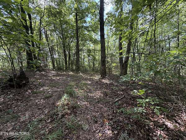 3.6 Acres of Residential Land for Sale in Jamestown, Tennessee