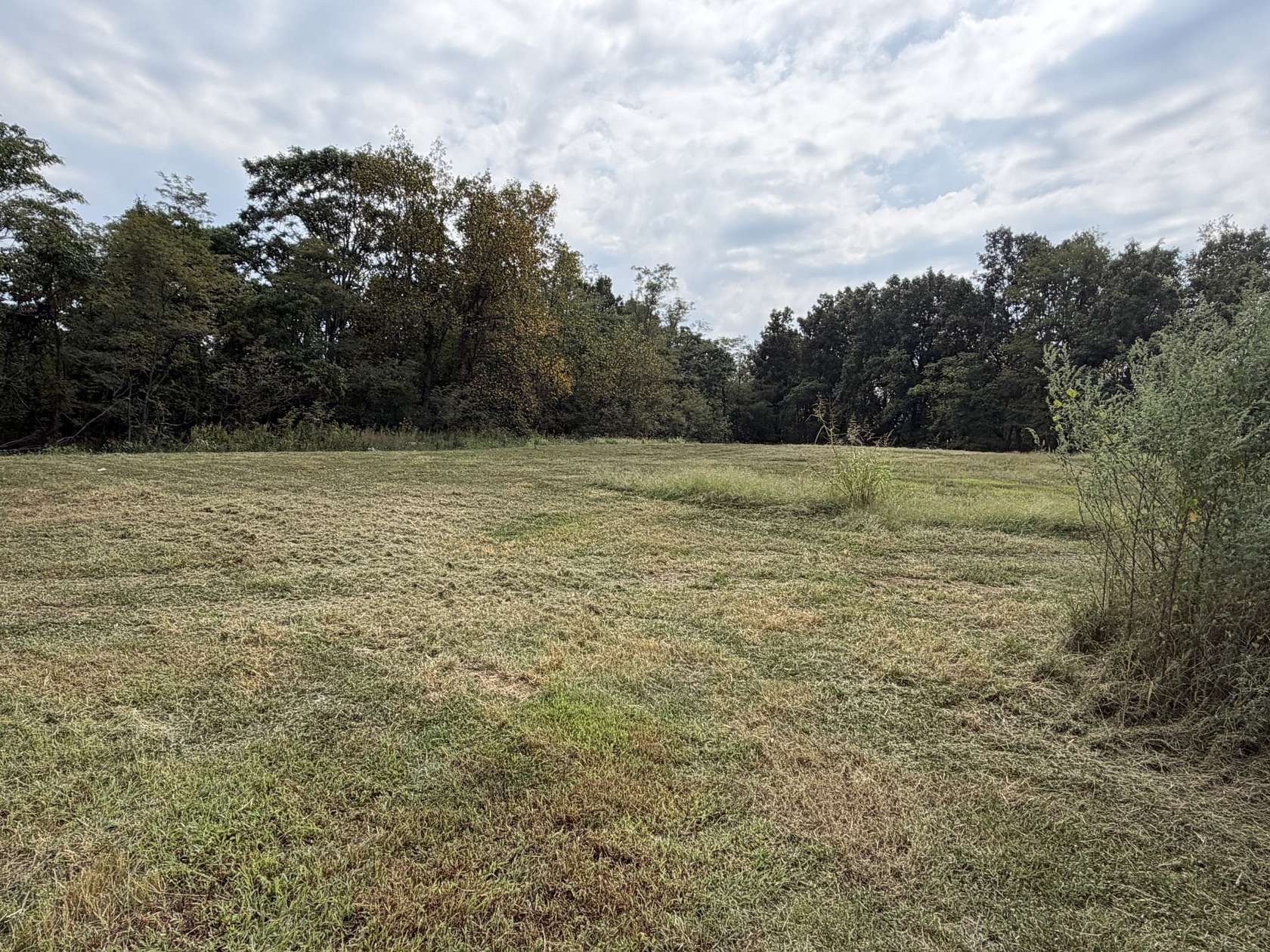 5 Acres of Residential Land for Sale in Lafayette, Tennessee