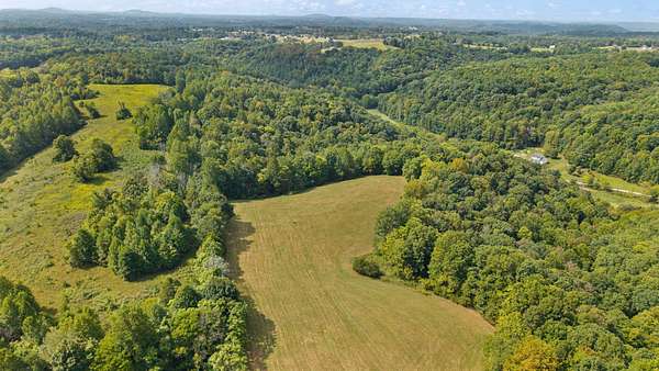 24.4 Acres of Land for Sale in Middleburg, Kentucky