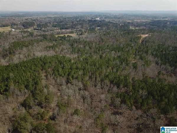 91 Acres of Recreational & Residential Land for Sale in Warrior, Alabama