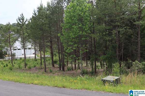 1 Acre of Residential Land for Sale in Fort Payne, Alabama
