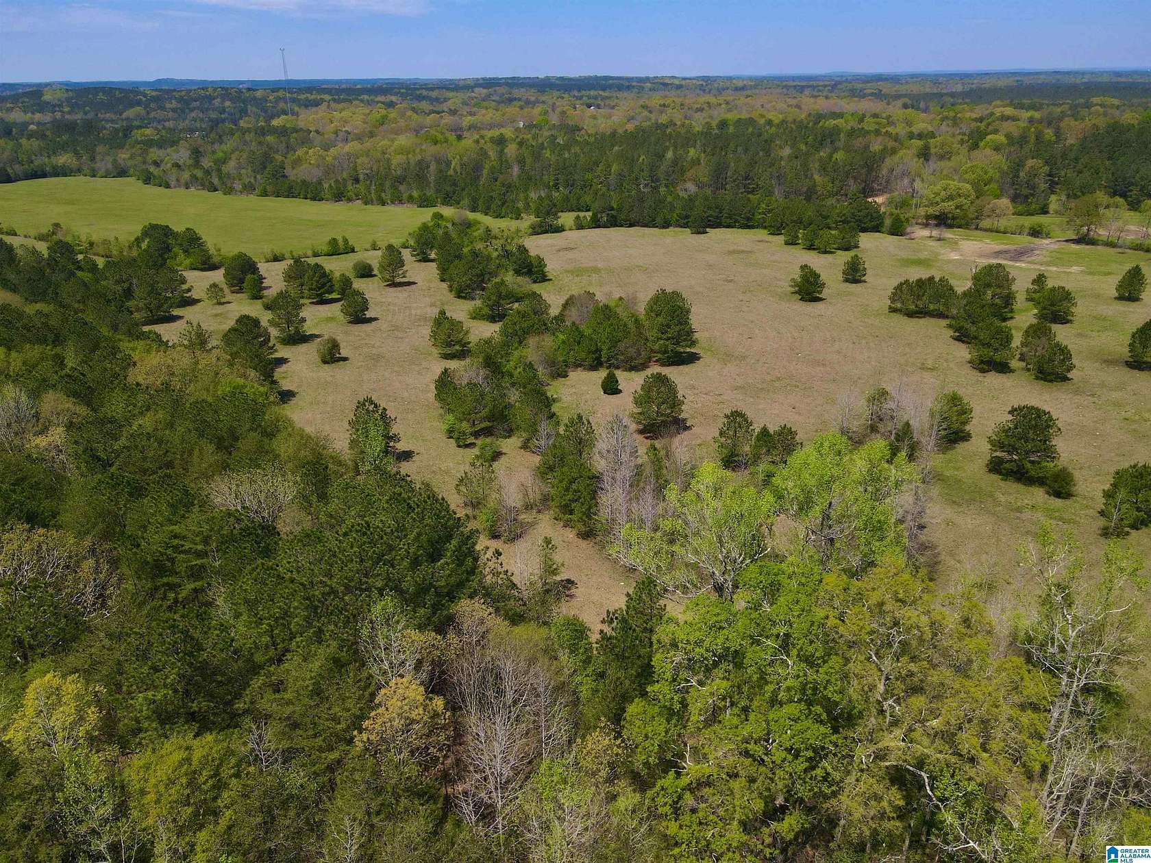 63.2 Acres of Agricultural & Residential Land for Sale in Shelby, Alabama