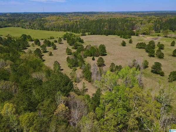 63.2 Acres of Agricultural & Residential Land for Sale in Shelby, Alabama