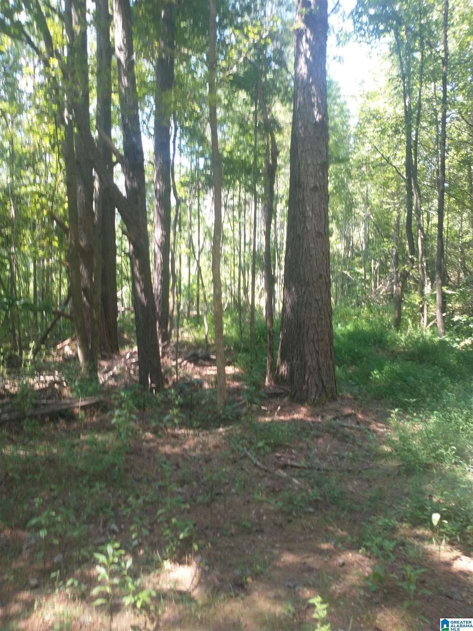 36 Acres of Recreational & Residential Land for Sale in Weogufka, Alabama
