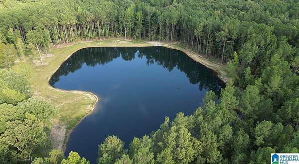 40 Acres of Land for Sale in Vandiver, Alabama