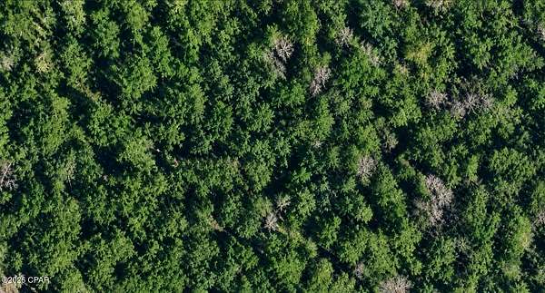 0.56 Acres of Residential Land for Sale in Chipley, Florida