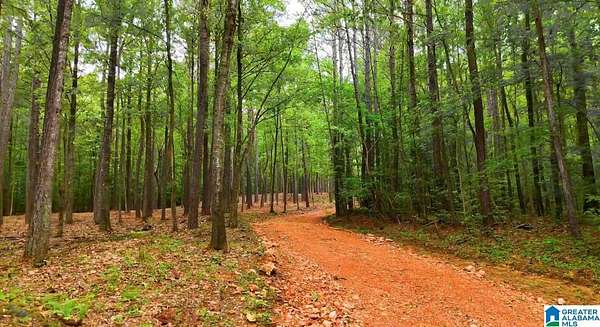 20 Acres of Land for Sale in Vandiver, Alabama