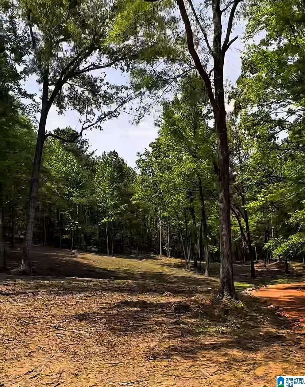 55 Acres of Recreational & Residential Land for Sale in Vandiver, Alabama