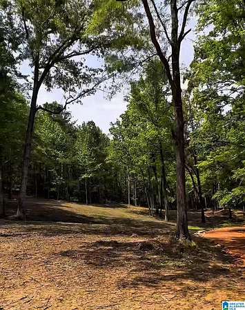 55 Acres of Recreational & Residential Land for Sale in Vandiver, Alabama