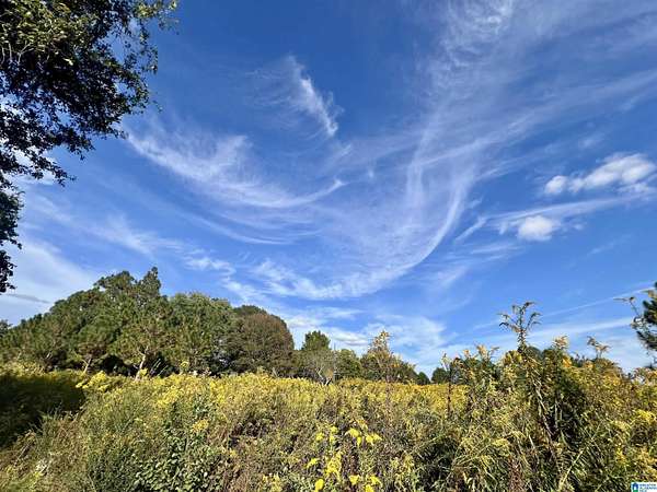 6.5 Acres of Land for Sale in Graham, Alabama