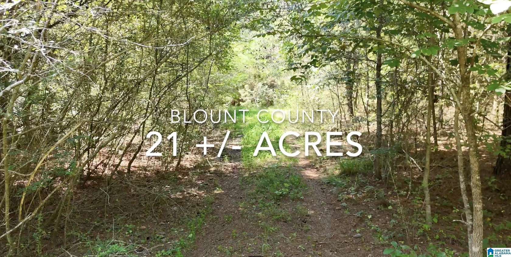 21 Acres of Recreational Land for Sale in Hayden, Alabama