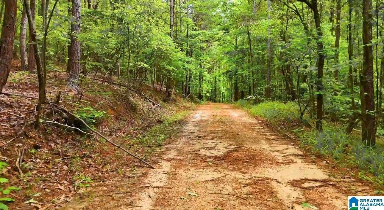 40 Acres of Land for Sale in Vandiver, Alabama