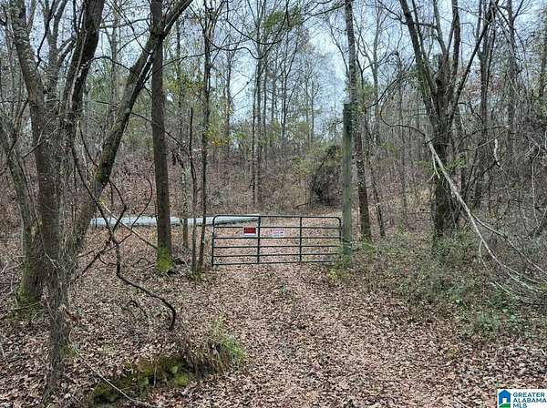 40 Acres of Recreational & Residential Land for Sale in Marbury, Alabama