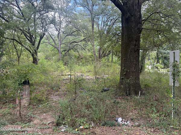 0.29 Acres of Residential Land for Sale in Jackson, Mississippi