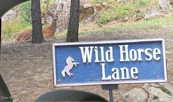 0.96 Acres of Residential Land for Sale in Bonners Ferry, Idaho