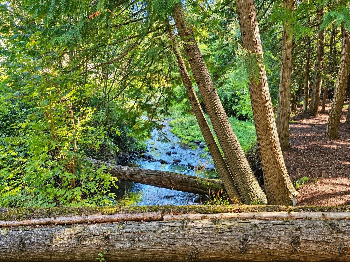 4.3 Acres of Land with Home for Sale in Colville, Washington