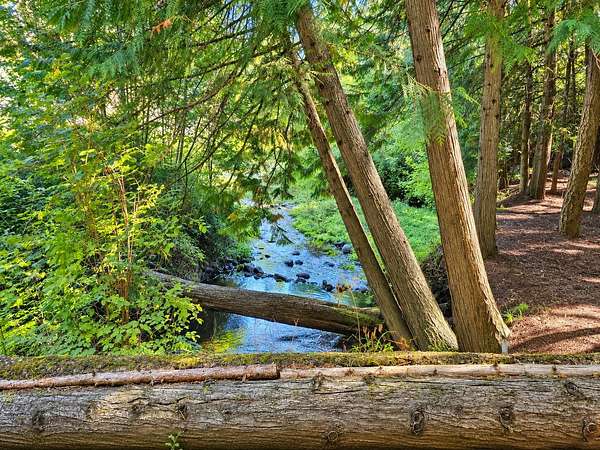 4.3 Acres of Land with Home for Sale in Colville, Washington