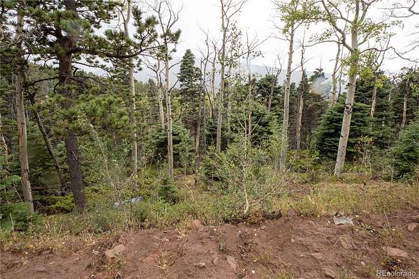 2.7 Acres of Land for Sale in Fort Garland, Colorado