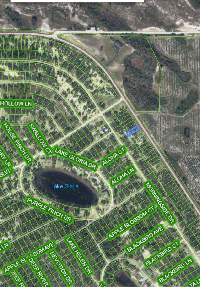 0.2 Acres of Commercial Land for Sale in Lake Placid, Florida