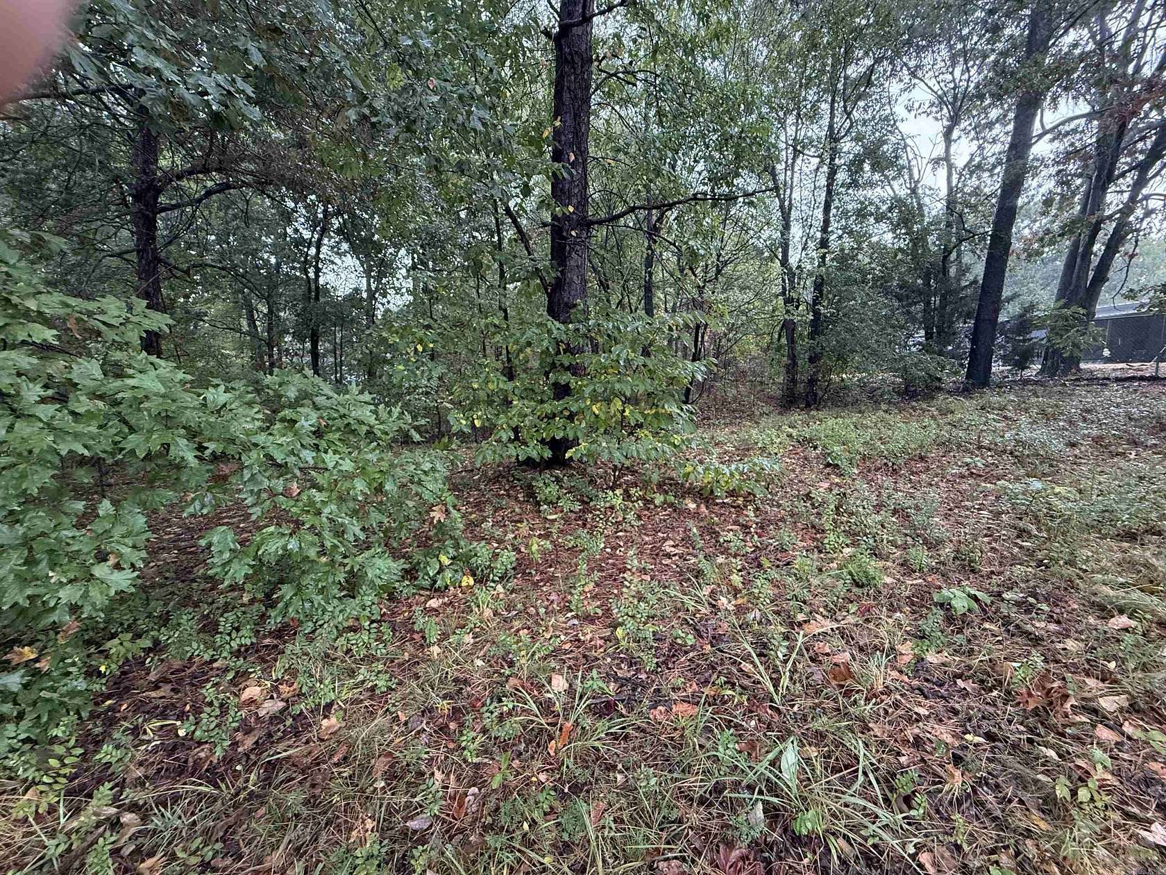 0.53 Acres of Mixed-Use Land for Sale in Paragould, Arkansas