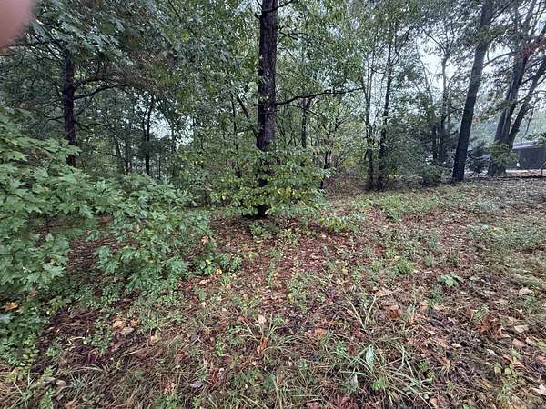 0.53 Acres of Mixed-Use Land for Sale in Paragould, Arkansas