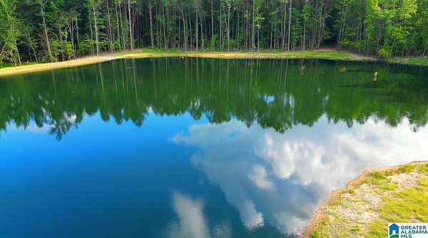 155 Acres of Recreational & Residential Land for Sale in Vandiver, Alabama