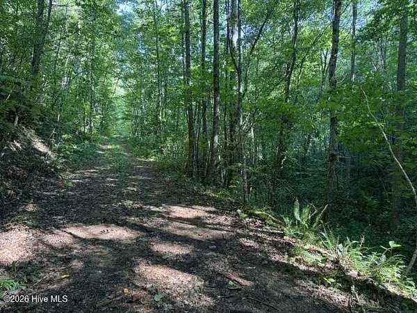 4 Acres of Residential Land for Sale in Marble, North Carolina