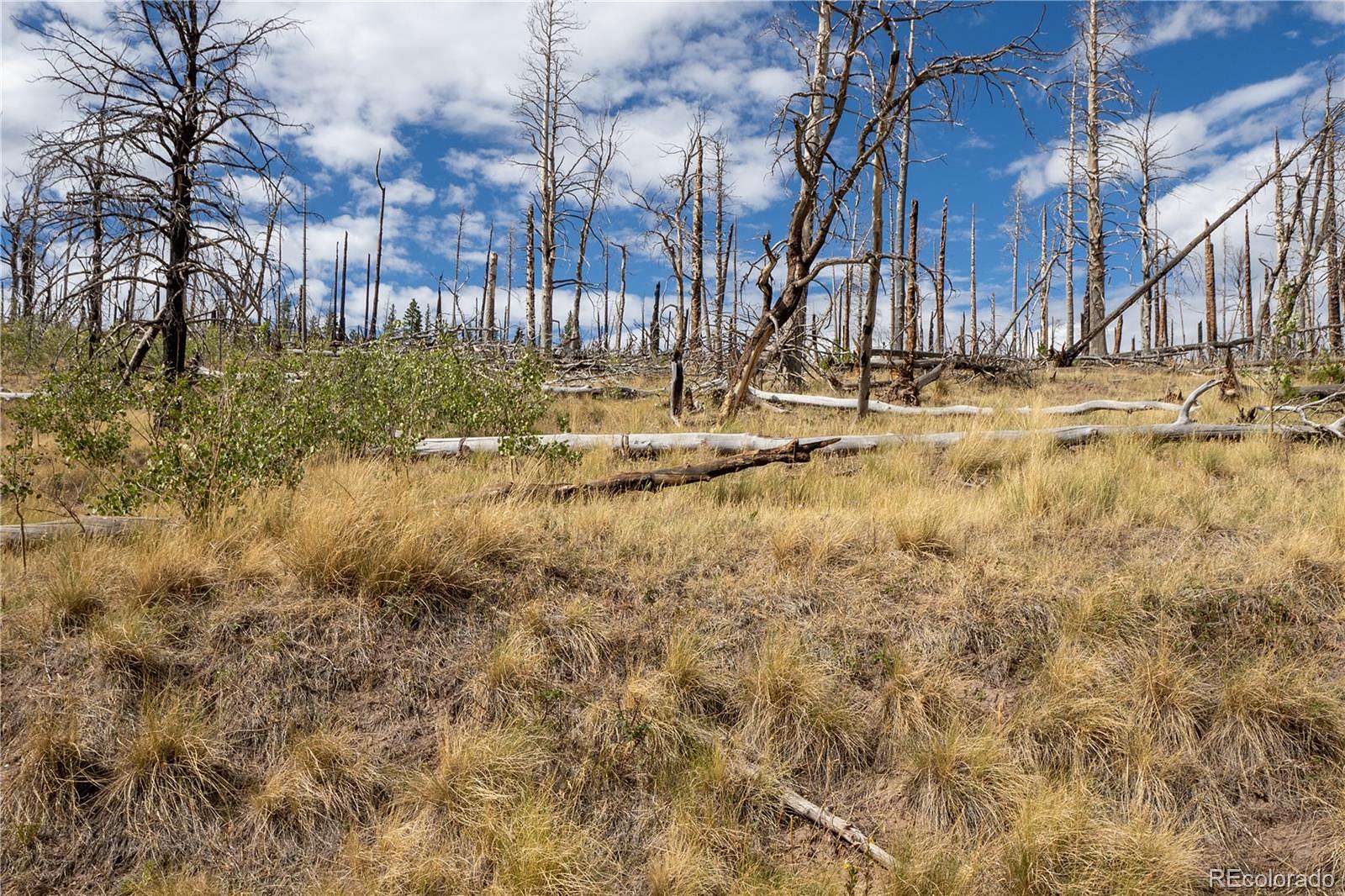 3.4 Acres of Land for Sale in Fort Garland, Colorado