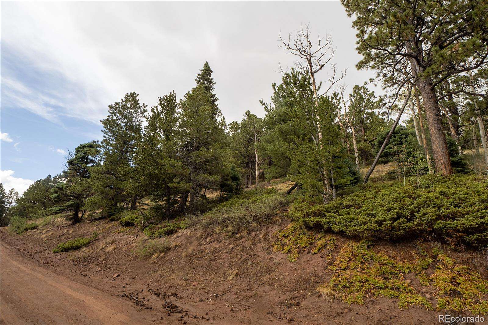 3.8 Acres of Land for Sale in Fort Garland, Colorado