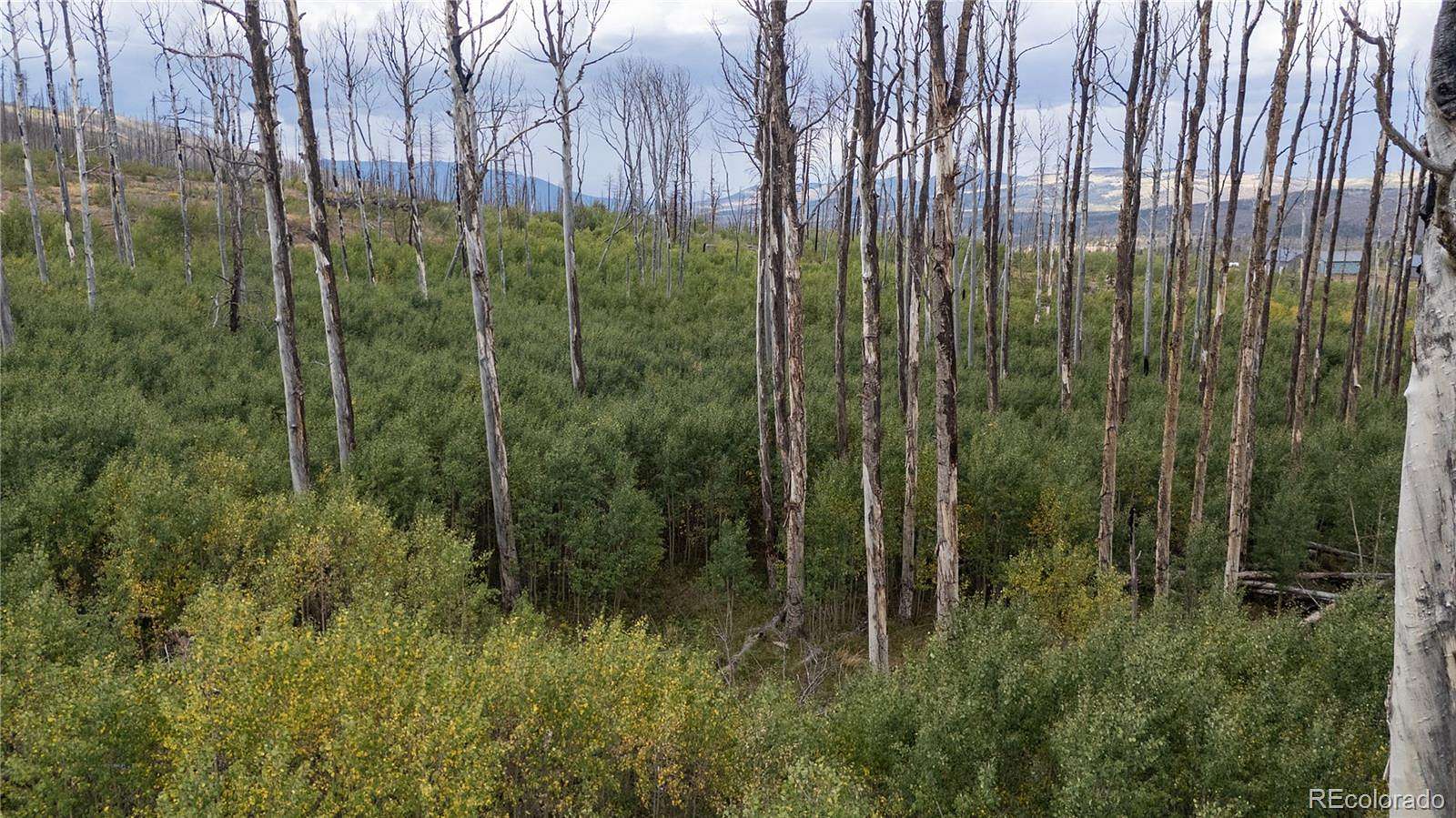 2.1 Acres of Land for Sale in Fort Garland, Colorado