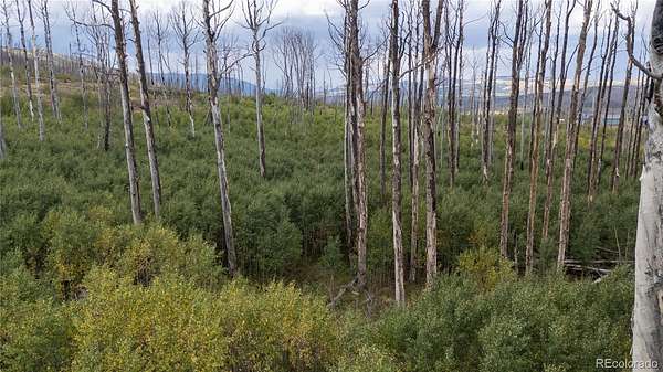 2.1 Acres of Land for Sale in Fort Garland, Colorado