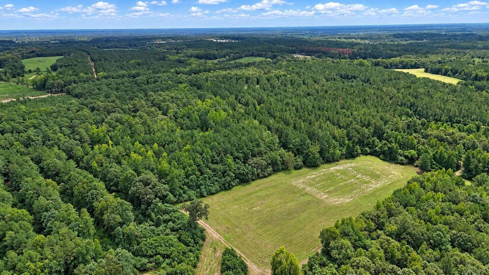 125 Acres of Recreational & Residential Land for Sale in St. Matthews, South Carolina